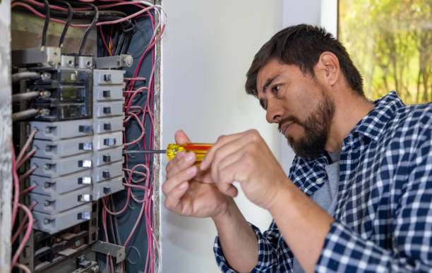 Best Affordable Electrician  in Fruitport, MI